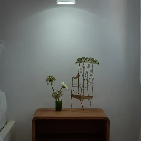 Allium Art House